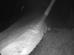 Ski areál SEVERKA v Dolní Lomné - Sjezdovka SEVERKA - 16.3.2026 v 04:40 Ski areál SEVERKA v Dolní Lomné - Sjezdovka SEVERKA - 16.3.2026 v 04:40