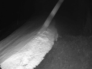 Ski areál SEVERKA v Dolní Lomné - Sjezdovka SEVERKA - 18.3.2026 v 00:00 Ski areál SEVERKA v Dolní Lomné - Sjezdovka SEVERKA - 18.3.2026 v 00:00