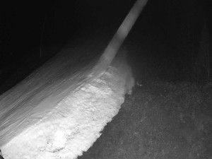 Ski areál SEVERKA v Dolní Lomné - Sjezdovka SEVERKA - 18.3.2026 v 02:00 Ski areál SEVERKA v Dolní Lomné - Sjezdovka SEVERKA - 18.3.2026 v 02:00