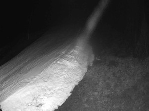 Ski areál SEVERKA v Dolní Lomné - Sjezdovka SEVERKA - 18.3.2026 v 04:05 Ski areál SEVERKA v Dolní Lomné - Sjezdovka SEVERKA - 18.3.2026 v 04:05