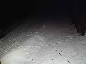 Ski areál SEVERKA v Dolní Lomné - Sjezdovka SEVERKA - 3.4.2026 v 04:00 Ski areál SEVERKA v Dolní Lomné - Sjezdovka SEVERKA - 3.4.2026 v 04:00