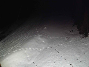 Ski areál SEVERKA v Dolní Lomné - Sjezdovka SEVERKA - 3.4.2026 v 04:25 Ski areál SEVERKA v Dolní Lomné - Sjezdovka SEVERKA - 3.4.2026 v 04:25