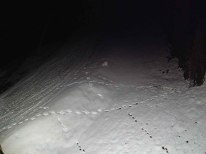 Ski areál SEVERKA v Dolní Lomné - Sjezdovka SEVERKA - 3.4.2026 v 04:40 Ski areál SEVERKA v Dolní Lomné - Sjezdovka SEVERKA - 3.4.2026 v 04:40