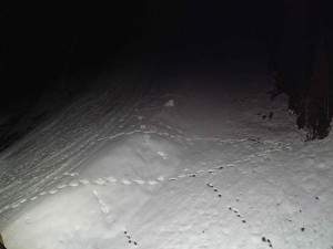 Ski areál SEVERKA v Dolní Lomné - Sjezdovka SEVERKA - 3.4.2026 v 05:05 Ski areál SEVERKA v Dolní Lomné - Sjezdovka SEVERKA - 3.4.2026 v 05:05