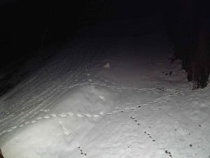 Ski areál SEVERKA v Dolní Lomné - Sjezdovka SEVERKA - 3.4.2026 v 05:20 Ski areál SEVERKA v Dolní Lomné - Sjezdovka SEVERKA - 3.4.2026 v 05:20