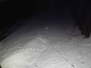 Ski areál SEVERKA v Dolní Lomné - Sjezdovka SEVERKA - 3.4.2026 v 05:25 Ski areál SEVERKA v Dolní Lomné - Sjezdovka SEVERKA - 3.4.2026 v 05:25