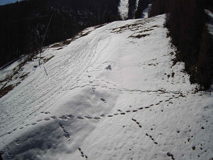 Ski areál SEVERKA v Dolní Lomné - Sjezdovka SEVERKA - 3.4.2026 v 11:00 Ski areál SEVERKA v Dolní Lomné - Sjezdovka SEVERKA - 3.4.2026 v 11:00