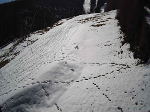 Ski areál SEVERKA v Dolní Lomné - Sjezdovka SEVERKA - 3.4.2026 v 11:05 Ski areál SEVERKA v Dolní Lomné - Sjezdovka SEVERKA - 3.4.2026 v 11:05