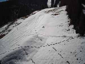 Ski areál SEVERKA v Dolní Lomné - Sjezdovka SEVERKA - 3.4.2026 v 11:10 Ski areál SEVERKA v Dolní Lomné - Sjezdovka SEVERKA - 3.4.2026 v 11:10