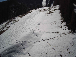 Ski areál SEVERKA v Dolní Lomné - Sjezdovka SEVERKA - 3.4.2026 v 11:20 Ski areál SEVERKA v Dolní Lomné - Sjezdovka SEVERKA - 3.4.2026 v 11:20