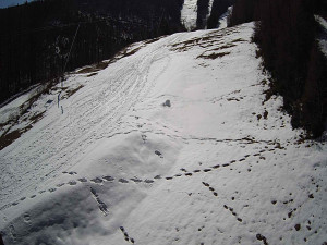 Ski areál SEVERKA v Dolní Lomné - Sjezdovka SEVERKA - 3.4.2026 v 11:25 Ski areál SEVERKA v Dolní Lomné - Sjezdovka SEVERKA - 3.4.2026 v 11:25