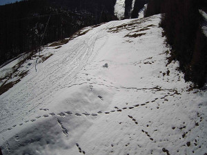 Ski areál SEVERKA v Dolní Lomné - Sjezdovka SEVERKA - 3.4.2026 v 11:40 Ski areál SEVERKA v Dolní Lomné - Sjezdovka SEVERKA - 3.4.2026 v 11:40