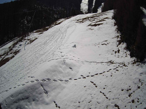 Ski areál SEVERKA v Dolní Lomné - Sjezdovka SEVERKA - 3.4.2026 v 11:45 Ski areál SEVERKA v Dolní Lomné - Sjezdovka SEVERKA - 3.4.2026 v 11:45