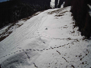 Ski areál SEVERKA v Dolní Lomné - Sjezdovka SEVERKA - 3.4.2026 v 11:50 Ski areál SEVERKA v Dolní Lomné - Sjezdovka SEVERKA - 3.4.2026 v 11:50