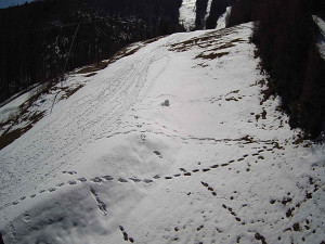 Ski areál SEVERKA v Dolní Lomné - Sjezdovka SEVERKA - 3.4.2026 v 12:00 Ski areál SEVERKA v Dolní Lomné - Sjezdovka SEVERKA - 3.4.2026 v 12:00