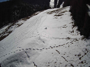 Ski areál SEVERKA v Dolní Lomné - Sjezdovka SEVERKA - 3.4.2026 v 12:05 Ski areál SEVERKA v Dolní Lomné - Sjezdovka SEVERKA - 3.4.2026 v 12:05