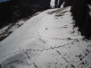 Ski areál SEVERKA v Dolní Lomné - Sjezdovka SEVERKA - 3.4.2026 v 12:10 Ski areál SEVERKA v Dolní Lomné - Sjezdovka SEVERKA - 3.4.2026 v 12:10