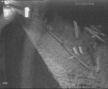 Snímek    28.10.2025 v 23:00