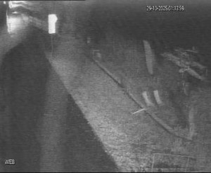 Baťův kanál - Přístaviště Hodonín  - 29.10.2025 v 00:15 Baťův kanál - Přístaviště Hodonín  - 29.10.2025 v 00:15