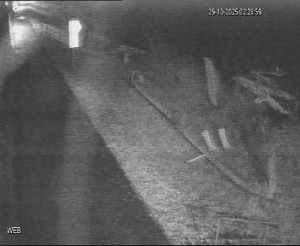 Baťův kanál - Přístaviště Hodonín  - 29.10.2025 v 01:30 Baťův kanál - Přístaviště Hodonín  - 29.10.2025 v 01:30