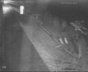 Baťův kanál - Přístaviště Hodonín  - 29.10.2025 v 19:15 Baťův kanál - Přístaviště Hodonín  - 29.10.2025 v 19:15