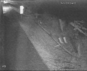 Baťův kanál - Přístaviště Hodonín  - 29.10.2025 v 19:45 Baťův kanál - Přístaviště Hodonín  - 29.10.2025 v 19:45