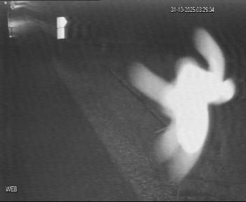 Snímek    31.10.2025 v 02:30