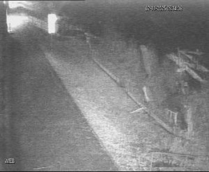 Baťův kanál - Přístaviště Hodonín  - 2.11.2025 v 04:15 Baťův kanál - Přístaviště Hodonín  - 2.11.2025 v 04:15