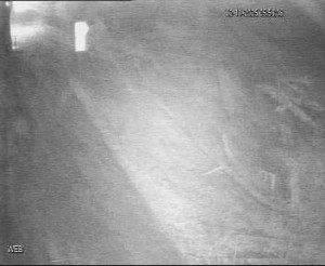 Baťův kanál - Přístaviště Hodonín  - 2.11.2025 v 05:00 Baťův kanál - Přístaviště Hodonín  - 2.11.2025 v 05:00