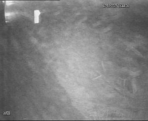 Baťův kanál - Přístaviště Hodonín  - 2.11.2025 v 05:45 Baťův kanál - Přístaviště Hodonín  - 2.11.2025 v 05:45