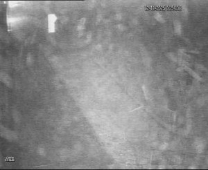 Baťův kanál - Přístaviště Hodonín  - 2.11.2025 v 06:00 Baťův kanál - Přístaviště Hodonín  - 2.11.2025 v 06:00