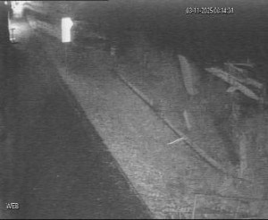 Baťův kanál - Přístaviště Hodonín  - 2.11.2025 v 23:15 Baťův kanál - Přístaviště Hodonín  - 2.11.2025 v 23:15