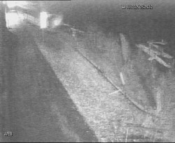 Přístaviště Hodonín