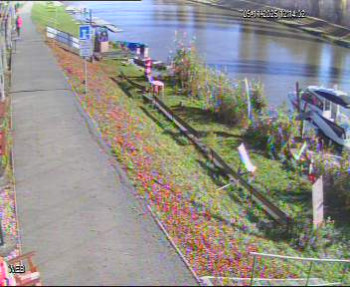 Snímek 5.11.2025 v 11:15