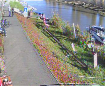 Snímek 5.11.2025 v 12:45