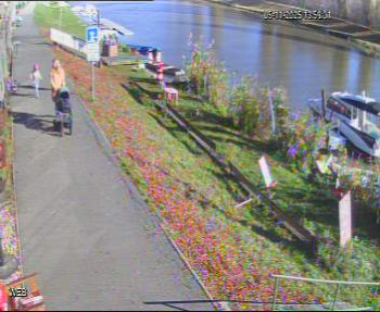 Snímek 5.11.2025 v 13:00