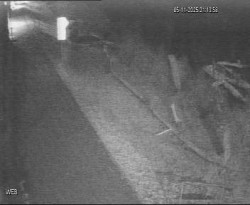 Přístaviště Hodonín