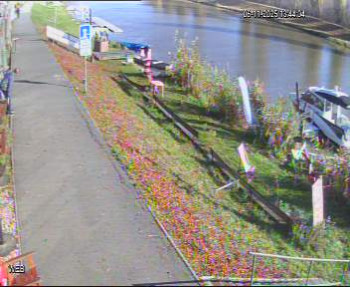 Snímek 6.11.2025 v 12:45