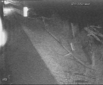 Snímek 7.11.2025 v 00:45