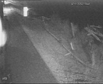 Snímek 7.11.2025 v 01:00