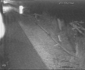 Snímek 7.11.2025 v 02:00