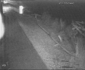 Snímek 7.11.2025 v 02:45