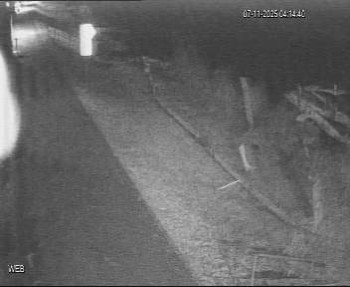 Snímek 7.11.2025 v 03:15