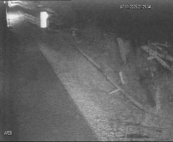 Snímek 7.11.2025 v 20:30