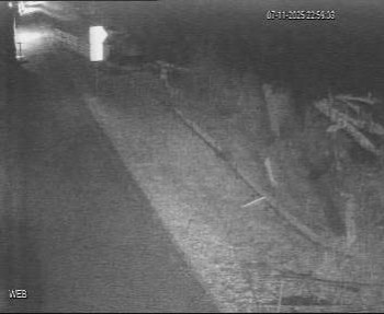 Snímek 7.11.2025 v 22:00