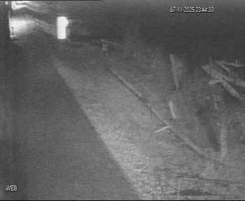 Snímek 7.11.2025 v 22:45