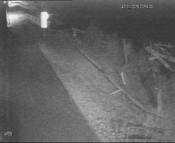 Přístaviště Hodonín