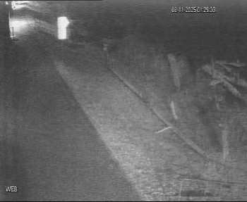 Snímek 8.11.2025 v 00:30