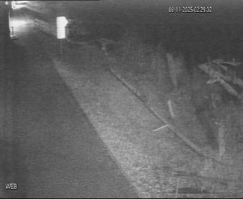 Snímek 8.11.2025 v 01:30