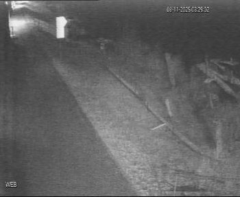 Snímek 8.11.2025 v 02:30